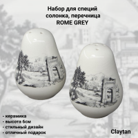 98-0404 Набор для специй: солонка, перечница, Claytan, декор ROME GREY