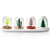 QL10121-WH Набор для специй  Four Seasons