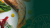 Смесь 4 перцев Royal Field 60г Pet Смесь 4 перцев Royal Field 60г Pet