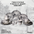 92-0404 Столовый набор на 4 персоны 21 предмет, Claytan, декор ROME GREY 92-0404 Столовый набор на 4 персоны 21 предмет, Claytan, декор ROME GREY