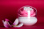 ql10157-wh-pk Контейнер для хранения ватных палочек Lotus белый-розовый ql10157-wh-pk Контейнер для хранения ватных палочек Lotus белый-розовый