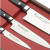 SS9061 Набор Satake StainBolster из 3х ножей (802-819, 741, 802)